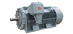 High voltage Ex-proof motor