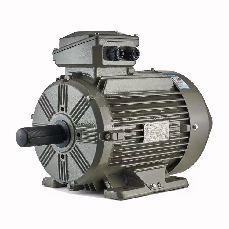 YE3/YE4/YE5 high efficiency asynchronous induction motor