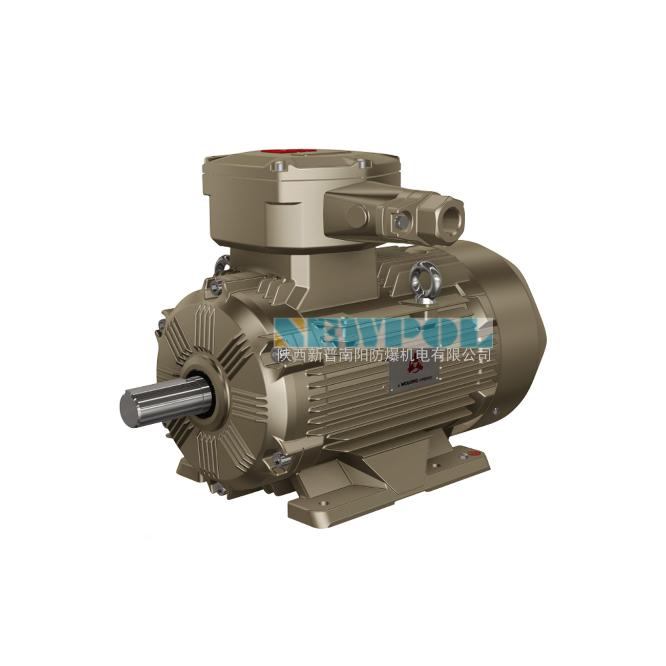 粉塵防爆電機生產(chǎn)廠家：確保工業(yè)安全的首選