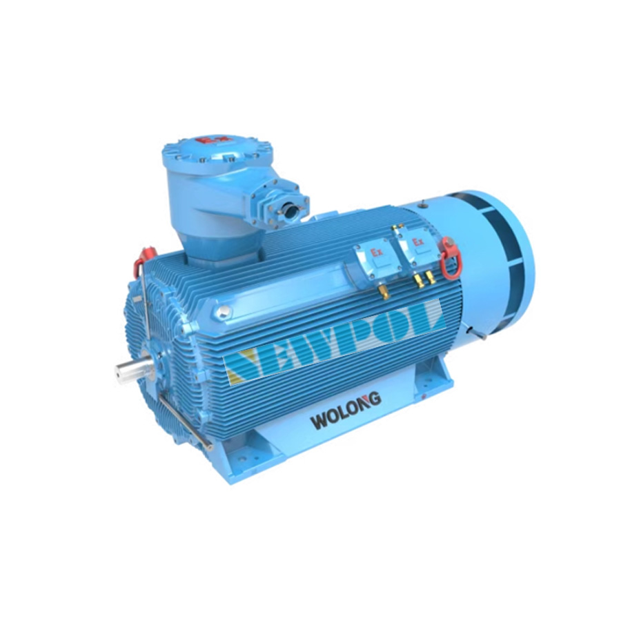 高效變革：低壓大功率變頻調速永磁同步電動機的創(chuàng)新之舉