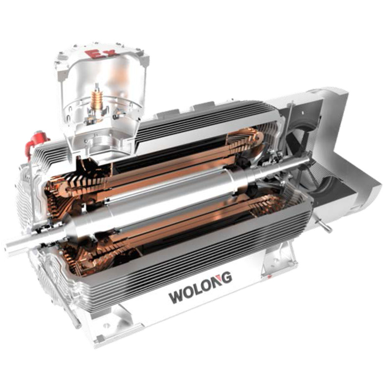 高壓非防爆異步電機的常見問題：高壓非防爆異步電機過熱的原因及解決方案