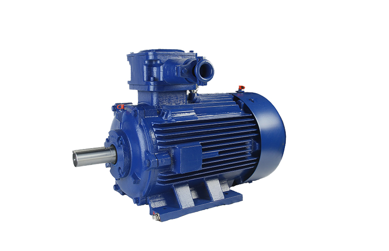 Low-voltage synchronous permanent magnet motor