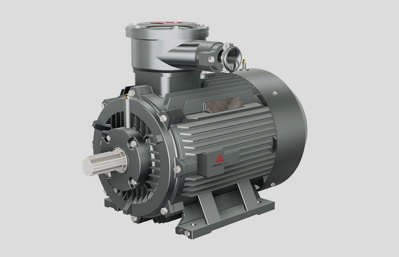 Shaanxi Wolong Nanyang Explosion-proof Motor